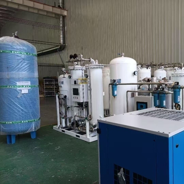 Zero Contamination Pressure Swing Adsorption Oxygen Plant With Sterilizer Filter